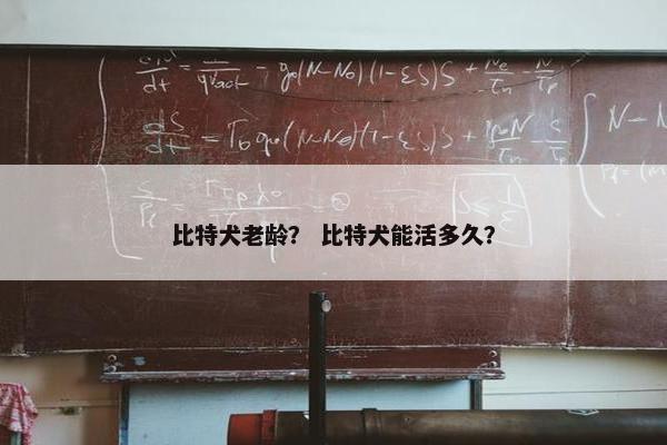 比特犬老龄？ 比特犬能活多久？