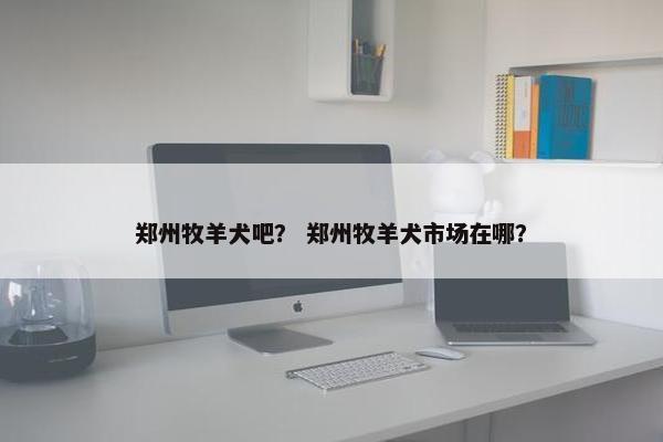 郑州牧羊犬吧？ 郑州牧羊犬市场在哪？