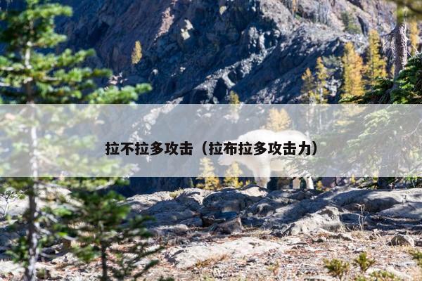 拉不拉多攻击（拉布拉多攻击力）