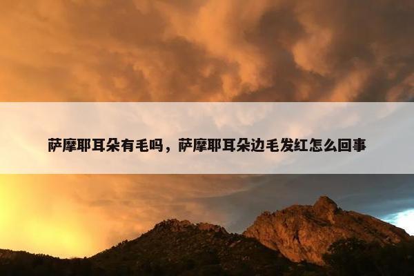 萨摩耶耳朵有毛吗，萨摩耶耳朵边毛发红怎么回事