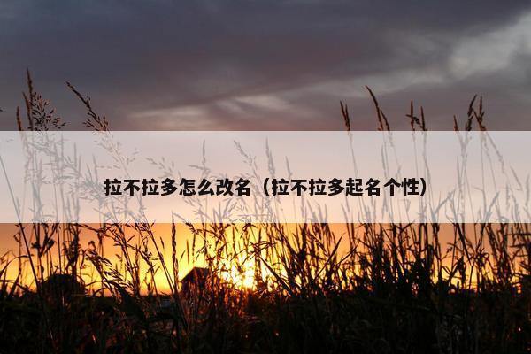 拉不拉多怎么改名（拉不拉多起名个性）