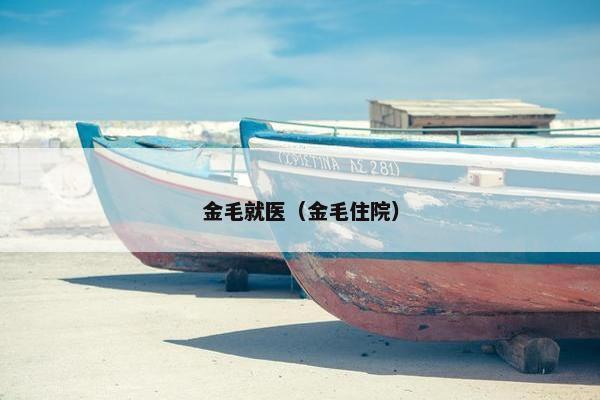 金毛就医（金毛住院）