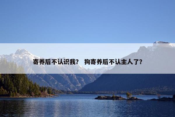 寄养后不认识我？ 狗寄养后不认主人了？