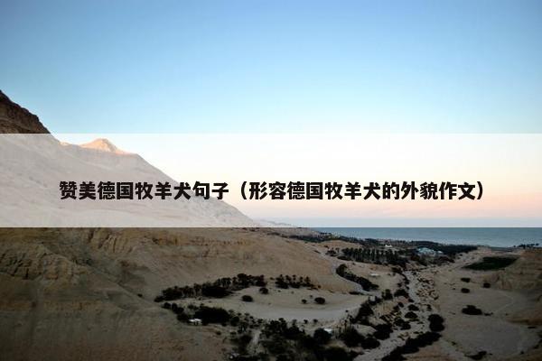 赞美德国牧羊犬句子（形容德国牧羊犬的外貌作文）