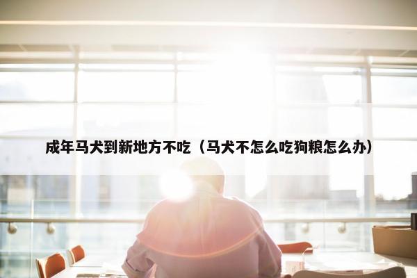 成年马犬到新地方不吃（马犬不怎么吃狗粮怎么办）