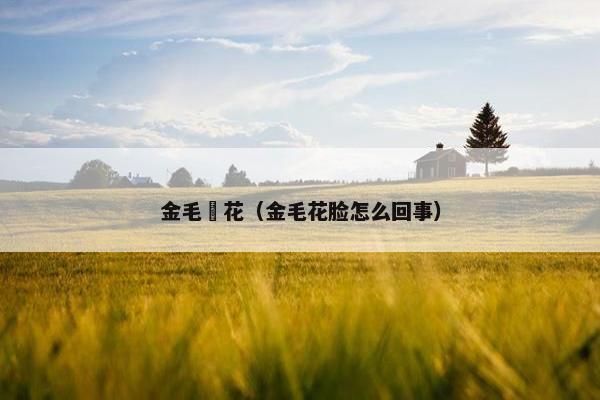 金毛犼花（金毛花脸怎么回事）