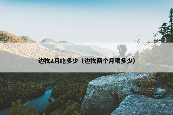 边牧2月吃多少（边牧两个月喂多少）