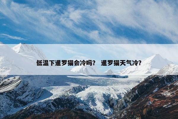 低温下暹罗猫会冷吗？ 暹罗猫天气冷？