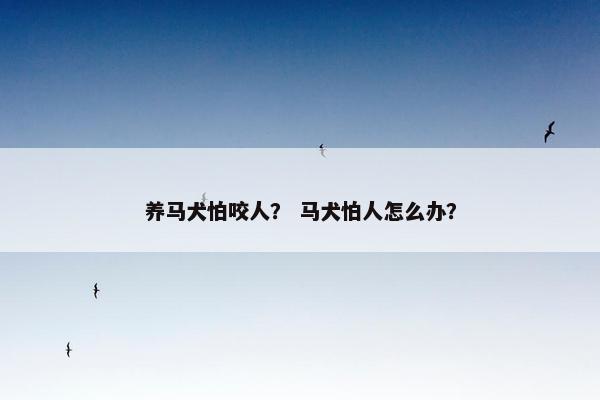 养马犬怕咬人？ 马犬怕人怎么办？