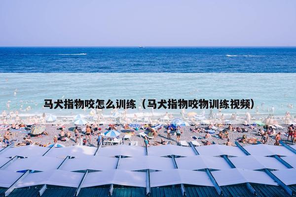 马犬指物咬怎么训练（马犬指物咬物训练视频）