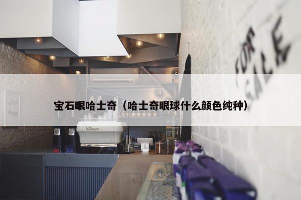 宝石眼哈士奇（哈士奇眼球什么颜色纯种）