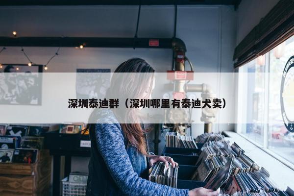 深圳泰迪群（深圳哪里有泰迪犬卖）