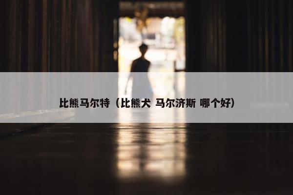 比熊马尔特（比熊犬 马尔济斯 哪个好）