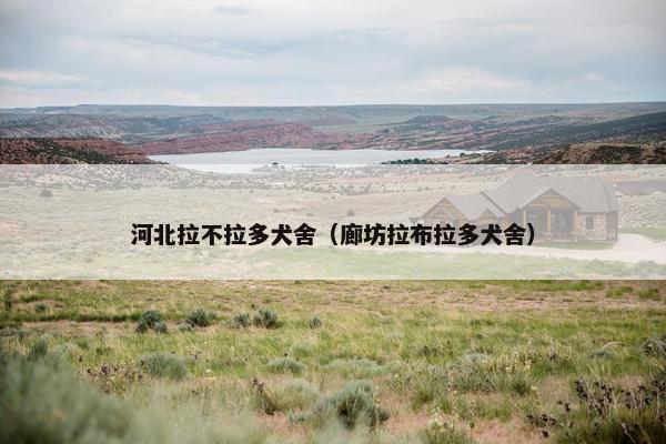 河北拉不拉多犬舍（廊坊拉布拉多犬舍）
