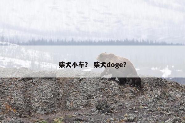 柴犬小车？ 柴犬doge？