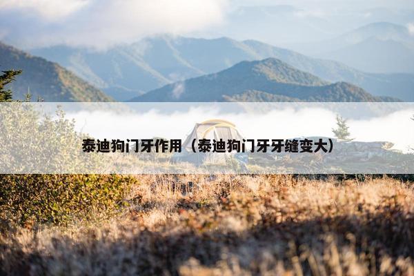 泰迪狗门牙作用（泰迪狗门牙牙缝变大）