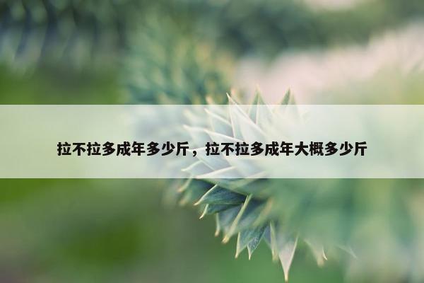 拉不拉多成年多少斤，拉不拉多成年大概多少斤