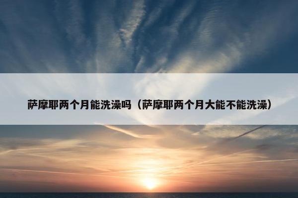 萨摩耶两个月能洗澡吗（萨摩耶两个月大能不能洗澡）
