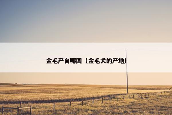 金毛产自哪国（金毛犬的产地）