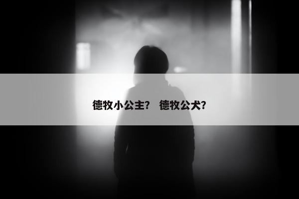 德牧小公主？ 德牧公犬？