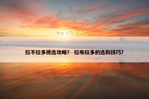 拉不拉多挑选攻略？ 拉布拉多的选购技巧？