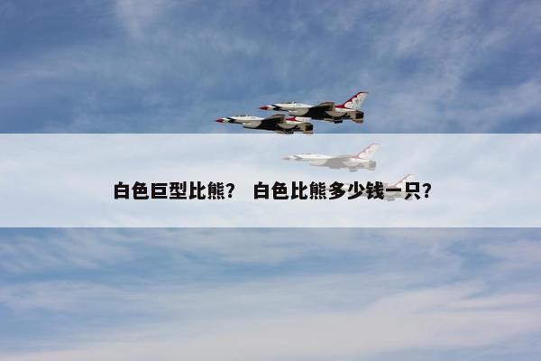 白色巨型比熊？ 白色比熊多少钱一只？