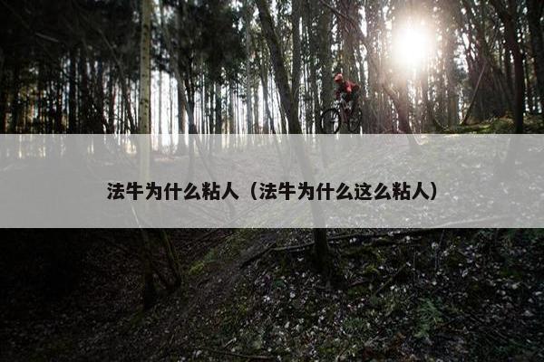 法牛为什么粘人（法牛为什么这么粘人）