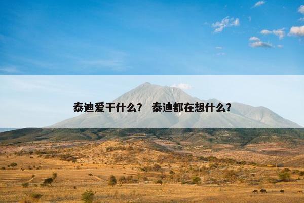 泰迪爱干什么？ 泰迪都在想什么？