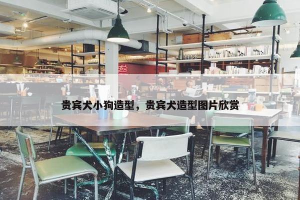 贵宾犬小狗造型，贵宾犬造型图片欣赏