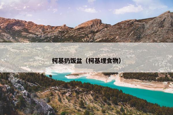 柯基扔饭盆（柯基埋食物）