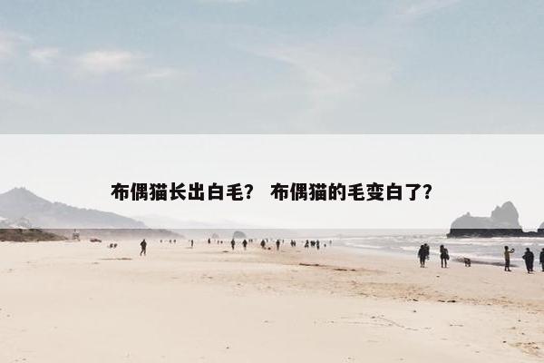 布偶猫长出白毛？ 布偶猫的毛变白了？