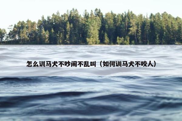 怎么训马犬不吵闹不乱叫（如何训马犬不咬人）