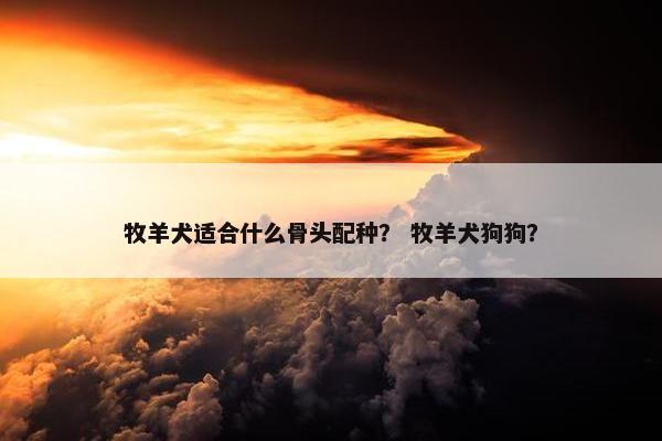 牧羊犬适合什么骨头配种？ 牧羊犬狗狗？