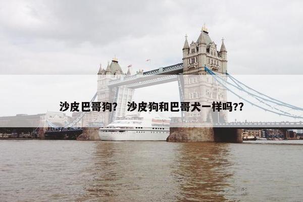 沙皮巴哥狗？ 沙皮狗和巴哥犬一样吗?？