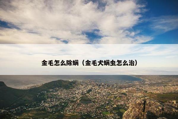 金毛怎么除螨（金毛犬螨虫怎么治）