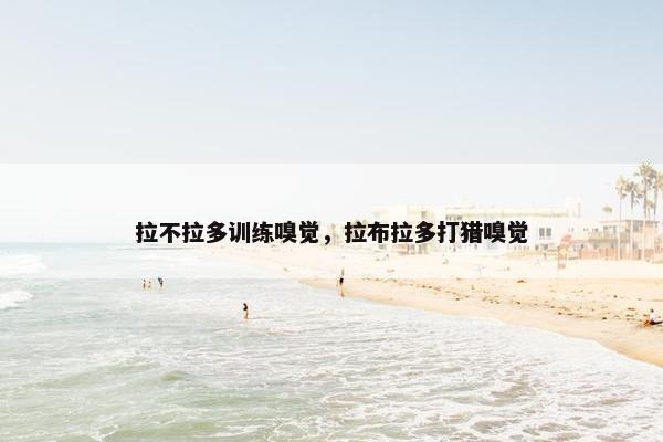 拉不拉多训练嗅觉，拉布拉多打猎嗅觉