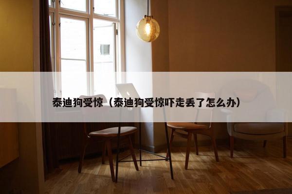 泰迪狗受惊（泰迪狗受惊吓走丢了怎么办）