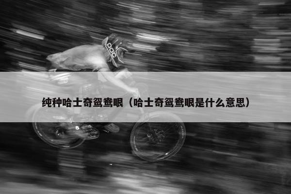 纯种哈士奇鸳鸯眼（哈士奇鸳鸯眼是什么意思）