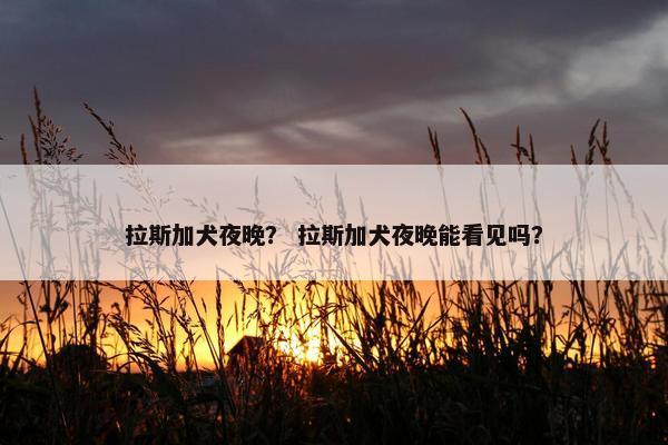 拉斯加犬夜晚？ 拉斯加犬夜晚能看见吗？