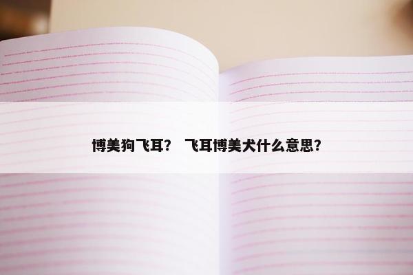 博美狗飞耳？ 飞耳博美犬什么意思？