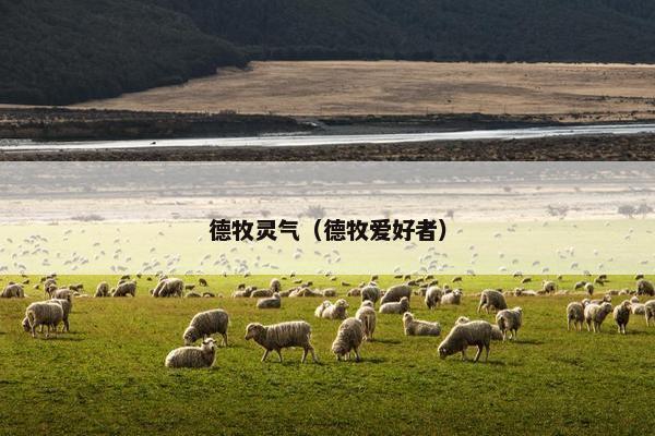 德牧灵气（德牧爱好者）
