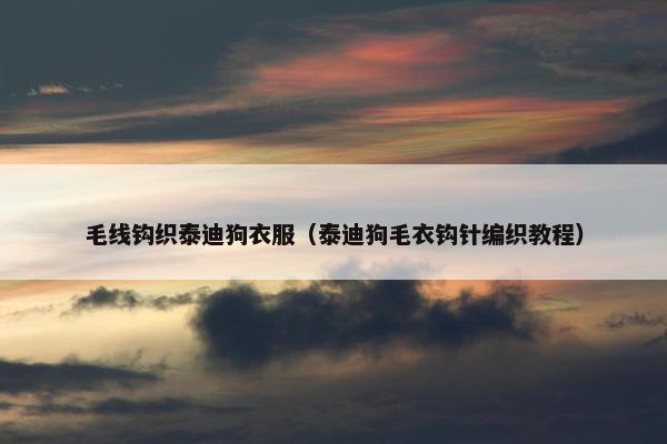 毛线钩织泰迪狗衣服（泰迪狗毛衣钩针编织教程）