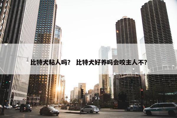 比特犬粘人吗？ 比特犬好养吗会咬主人不？
