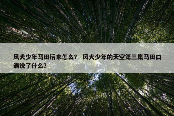 风犬少年马田后来怎么？ 风犬少年的天空第三集马田口语说了什么？