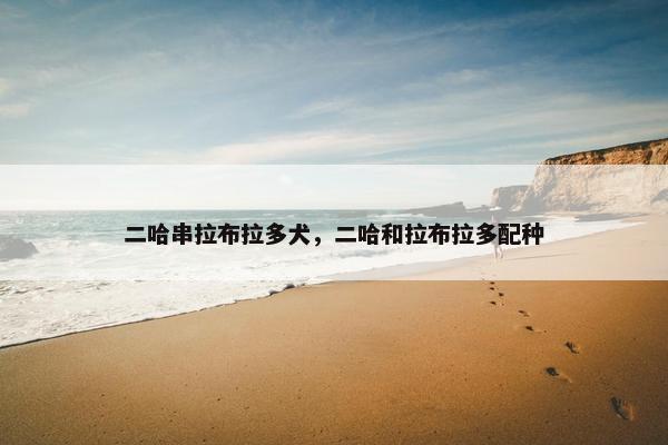 二哈串拉布拉多犬，二哈和拉布拉多配种