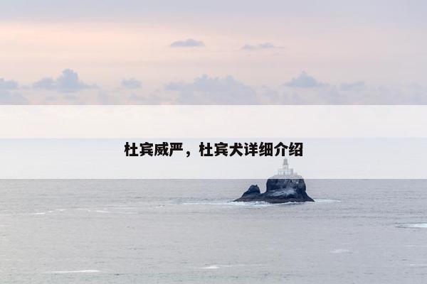 杜宾威严，杜宾犬详细介绍
