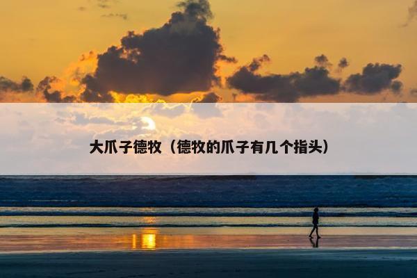 大爪子德牧（德牧的爪子有几个指头）