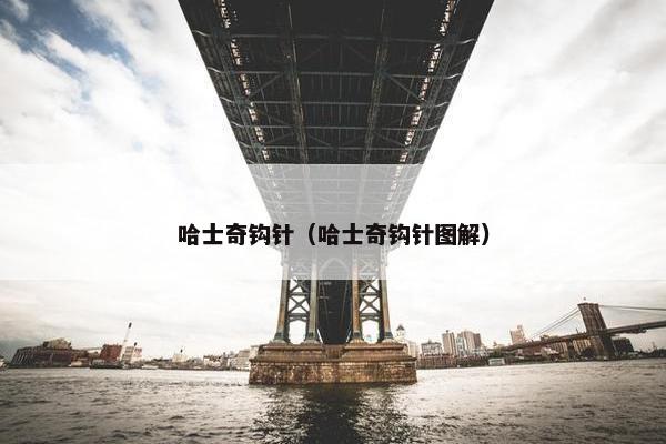 哈士奇钩针（哈士奇钩针图解）