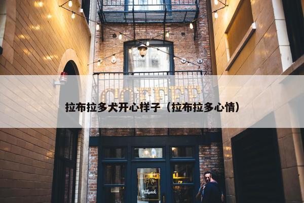 拉布拉多犬开心样子（拉布拉多心情）