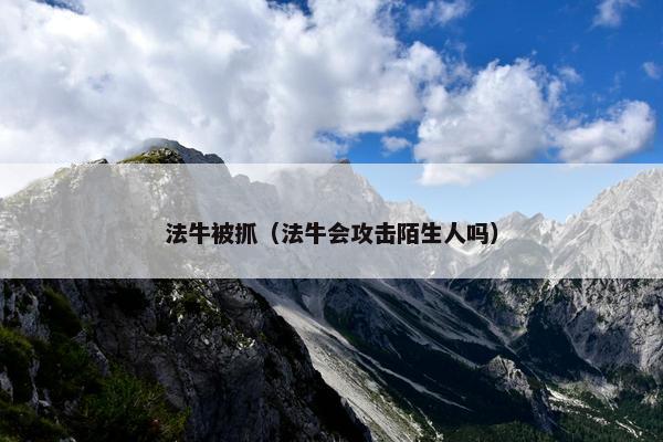 法牛被抓（法牛会攻击陌生人吗）